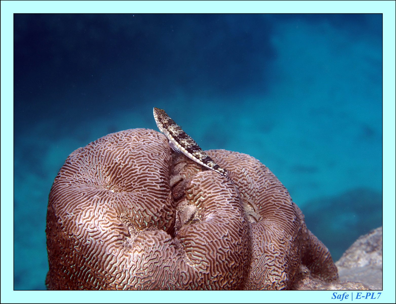 2016 - 07 - Leng Tengah - 059